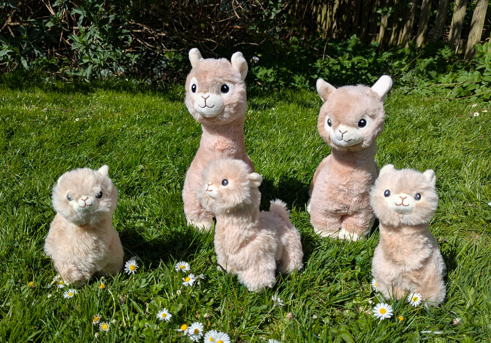 Stofftiere